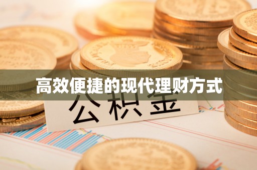 泗水高效便捷的现代理财方式