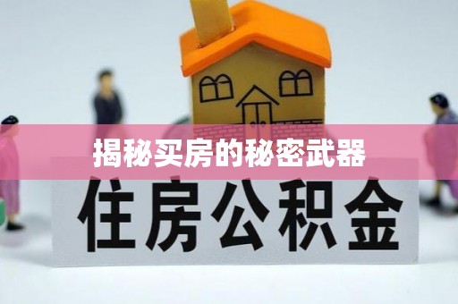 泗水揭秘买房的秘密武器